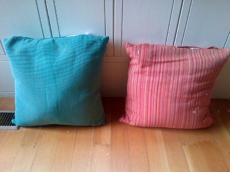 Magnetic Pillows made to Aajonus' specifications