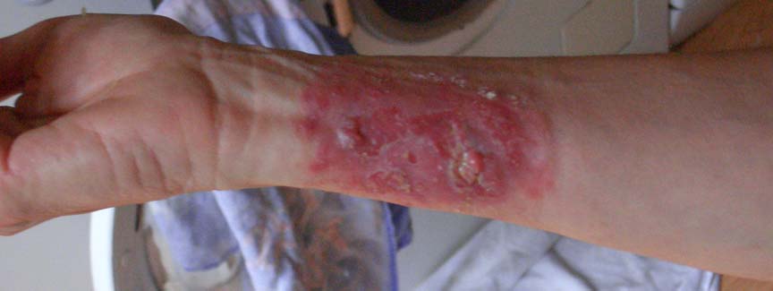 2009-02_PDN_15_15th_PDN_F-012