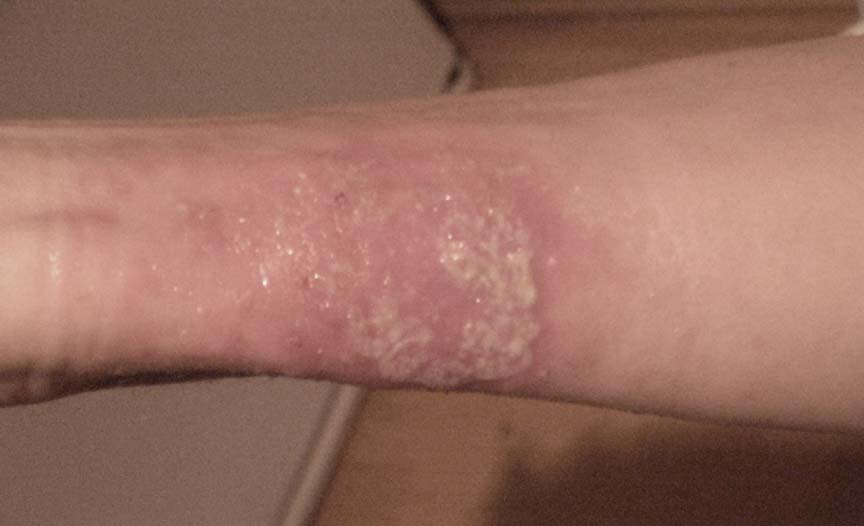 2009-02_PDN_15_15th_PDN_F-015