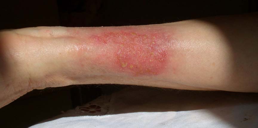 2009-02_PDN_15_15th_PDN_F-016