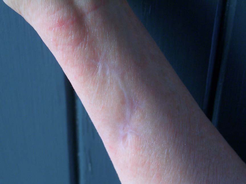 2009-02_PDN_15_15th_PDN_F-018