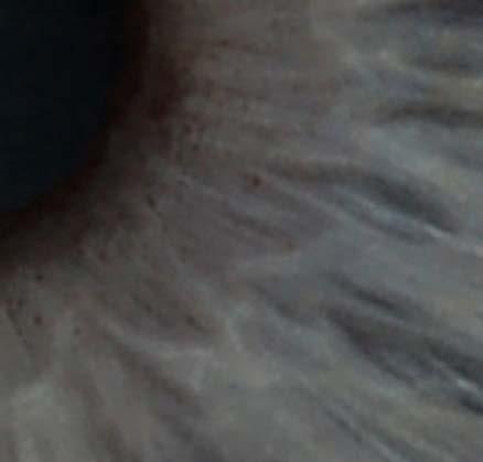 PDN19 Page-2-Image-3