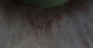 PDN19 Page-3-Image-5